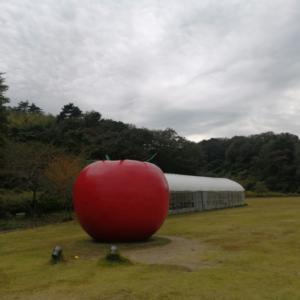 実際訪問したユーザーが直接撮影して投稿した四倉町中島スーパー森のマルシェの写真