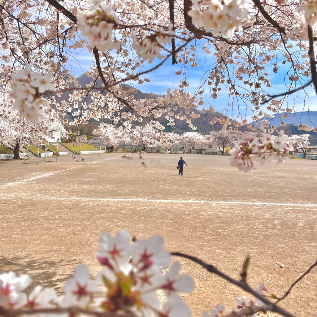 実際訪問したユーザーが直接撮影して投稿した日滝小学校須坂市立日滝小学校の写真