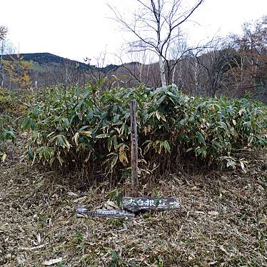 実際訪問したユーザーが直接撮影して投稿した草津山 / 峠本白根山の写真