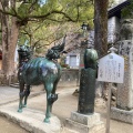 実際訪問したユーザーが直接撮影して投稿した宰府銅像太宰府天満宮 麒麟 鷽像の写真