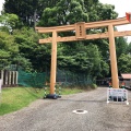 実際訪問したユーザーが直接撮影して投稿した水前寺公園神社出水神社の写真