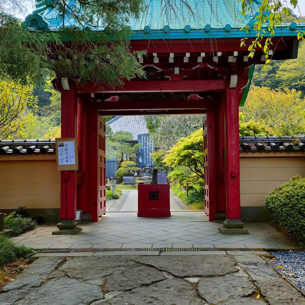 実際訪問したユーザーが直接撮影して投稿した長谷寺光則寺の写真