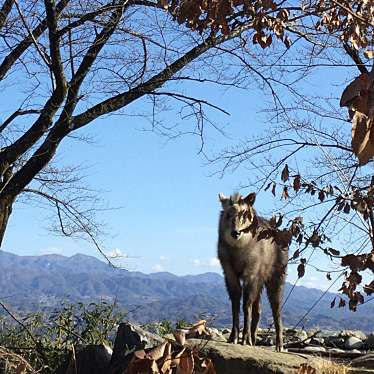 実際訪問したユーザーが直接撮影して投稿した扇町動物園飯田市立動物園の写真