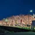 実際訪問したユーザーが直接撮影して投稿した稲葉車瀬河川竜田川の写真