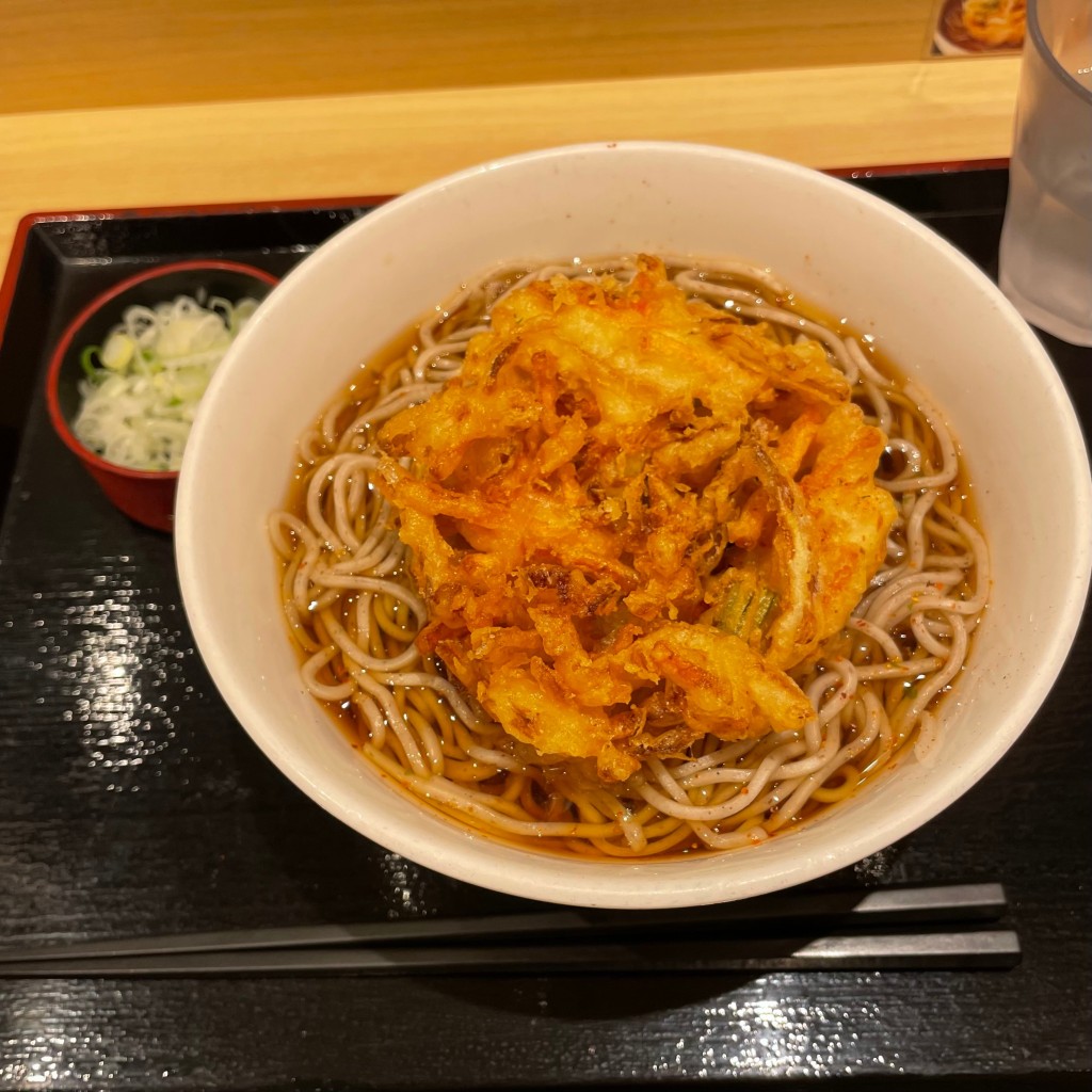 ユーザーが投稿したかき揚げ蕎麦の写真 - 実際訪問したユーザーが直接撮影して投稿した丸の内そばいろり庵きらく 東京京葉の写真
