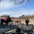 実際訪問したユーザーが直接撮影して投稿した山小川動物園アニマルワンダーリゾウト 市原ぞうの国の写真