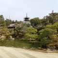 実際訪問したユーザーが直接撮影して投稿した御室大内寺仁和寺の写真