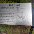 実際訪問したユーザーが直接撮影して投稿した小野公園国営みちのく杜の湖畔公園の写真