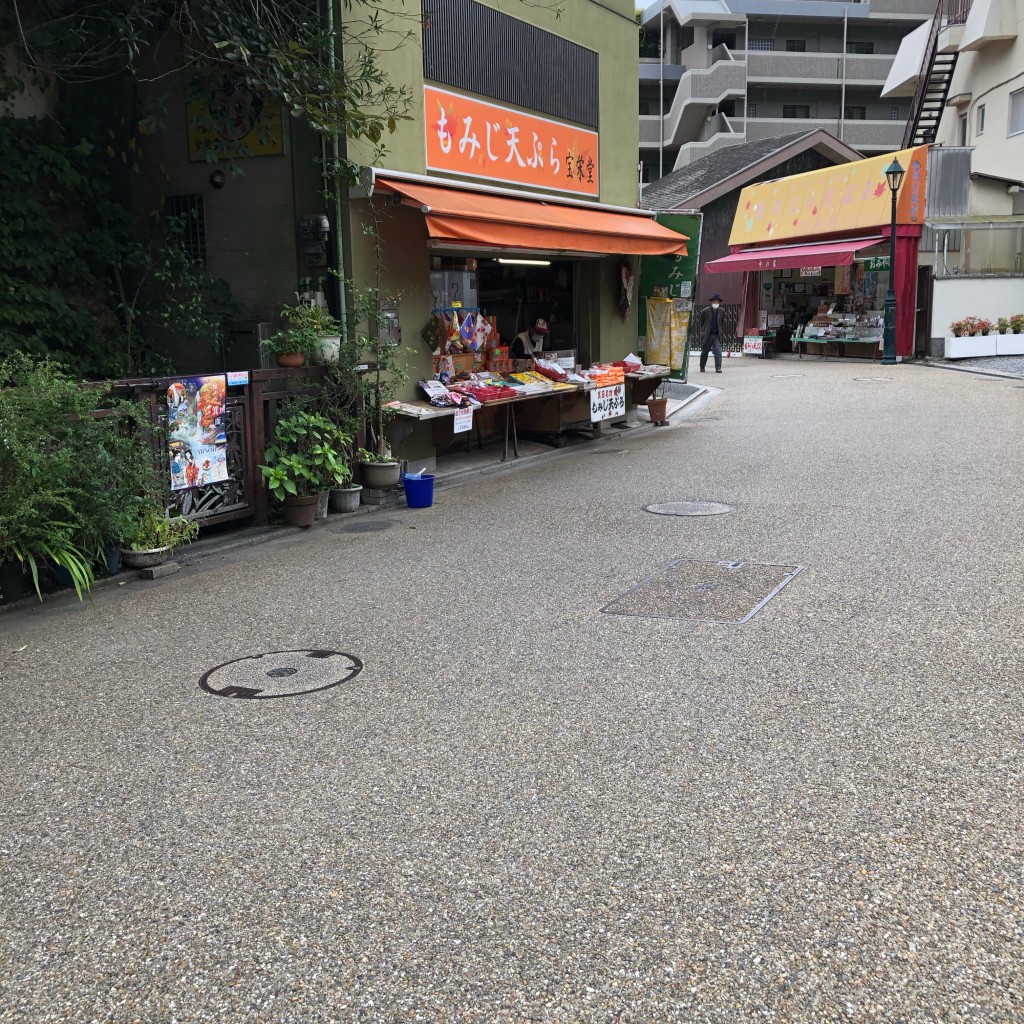 実際訪問したユーザーが直接撮影して投稿した箕面天ぷら宝栄堂の写真
