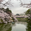 実際訪問したユーザーが直接撮影して投稿した麹町公園千鳥ヶ淵公園の写真