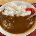 カレーライス - 実際訪問したユーザーが直接撮影して投稿した米山定食屋まいどおおきに食堂 新潟米山食堂の写真のメニュー情報