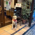 実際訪問したユーザーが直接撮影して投稿した松戸イタリアンスピガ 松戸店の写真