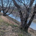 実際訪問したユーザーが直接撮影して投稿した河川新境川の写真