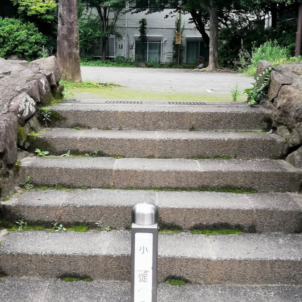 実際訪問したユーザーが直接撮影して投稿した中央公園中野区立小淀公園の写真