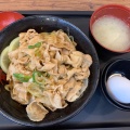 生姜丼 - 実際訪問したユーザーが直接撮影して投稿した道玄坂丼もの伝説のすた丼屋 渋谷店の写真のメニュー情報