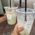 レモネード - 実際訪問したユーザーが直接撮影して投稿した美章園カフェChiRu out cafeの写真のメニュー情報