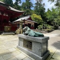 実際訪問したユーザーが直接撮影して投稿した朝熊町寺金剛證寺の写真