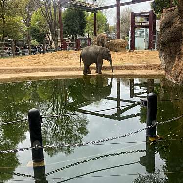 上野動物園のundefinedに実際訪問訪問したユーザーunknownさんが新しく投稿した新着口コミの写真