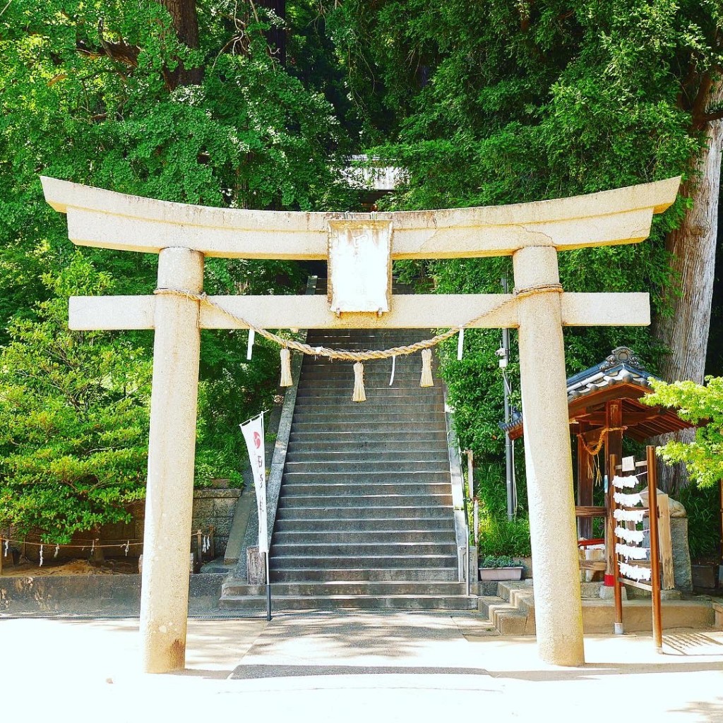 実際訪問したユーザーが直接撮影して投稿した田間神社田間神社の写真