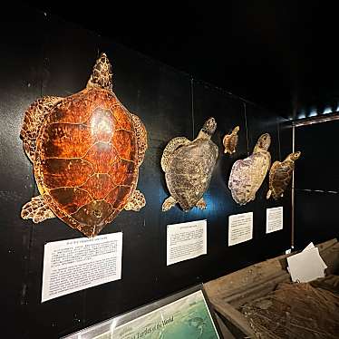 実際訪問したユーザーが直接撮影して投稿した黒島展示 / 観覧黒島研究所の写真