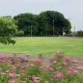 実際訪問したユーザーが直接撮影して投稿した早川公園東山公園の写真