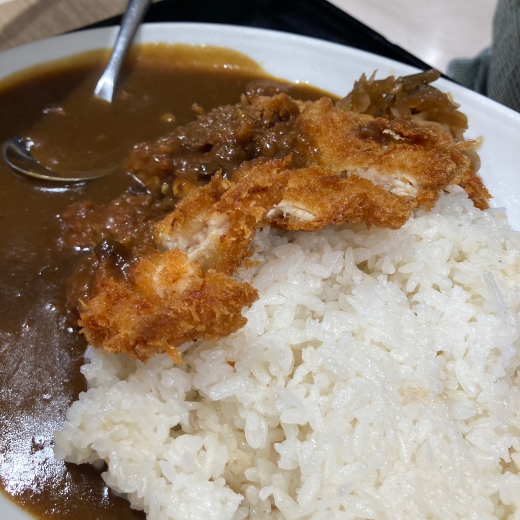 ユーザーが投稿したチキンカツカレーの写真 - 実際訪問したユーザーが直接撮影して投稿した東川崎町ハンバーガーGASTRO 29 ORGANIC イオンスタイルumie店の写真