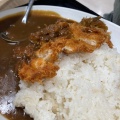 チキンカツカレー - 実際訪問したユーザーが直接撮影して投稿した東川崎町ハンバーガーGASTRO 29 ORGANIC イオンスタイルumie店の写真のメニュー情報