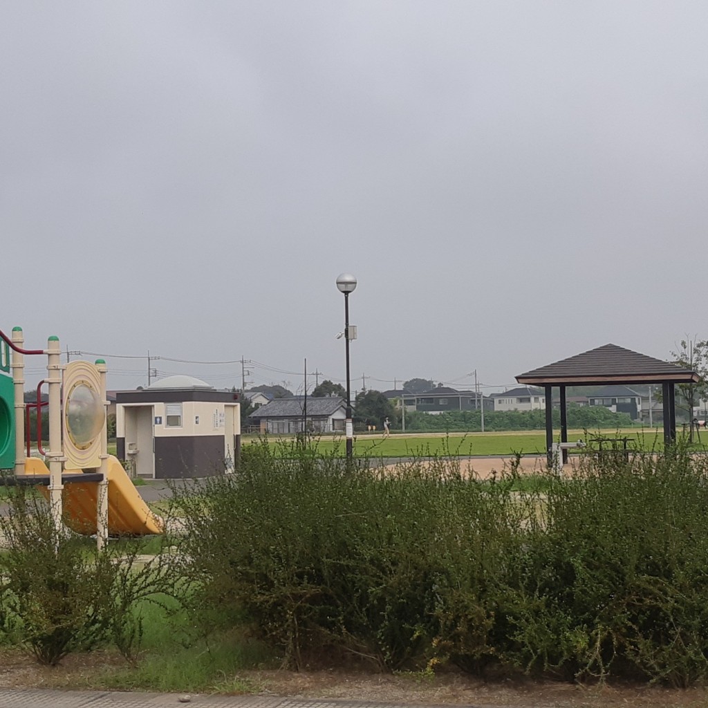 実際訪問したユーザーが直接撮影して投稿した東上之宮町公園上之宮児童遊園地の写真