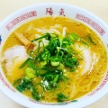 実際訪問したユーザーが直接撮影して投稿した横川新町ラーメン / つけ麺陽気 横川店の写真