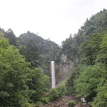 実際訪問したユーザーが直接撮影して投稿した奥飛騨温泉郷平湯うどん大滝の写真