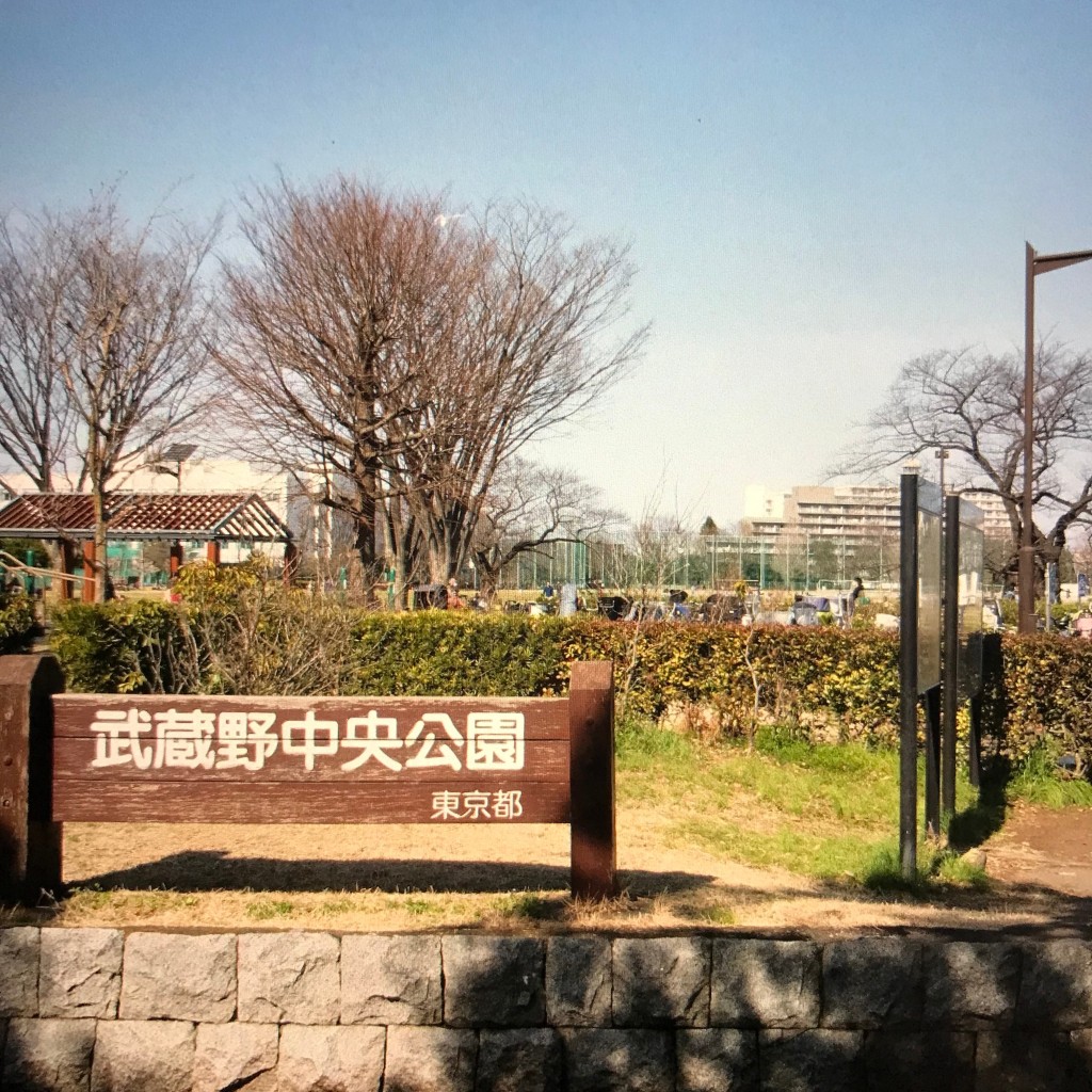 実際訪問したユーザーが直接撮影して投稿した八幡町公園武蔵野中央公園の写真