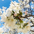 実際訪問したユーザーが直接撮影して投稿した和田山公園本牧山頂公園の写真