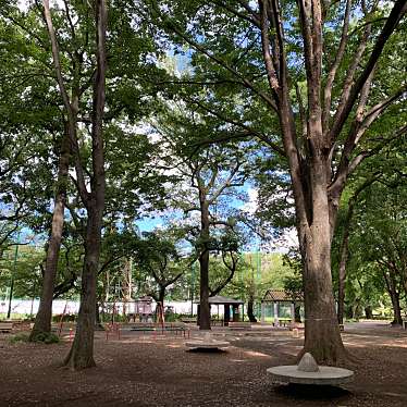 実際訪問したユーザーが直接撮影して投稿した石神井台公園石神井公園 くぬぎ広場の写真