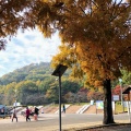実際訪問したユーザーが直接撮影して投稿した岩舟町下津原公園みかも山公園の写真