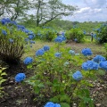 実際訪問したユーザーが直接撮影して投稿した結城公園城跡歴史公園の写真