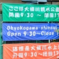 実際訪問したユーザーが直接撮影して投稿した東駒形公園大横川親水公園の写真