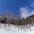 実際訪問したユーザーが直接撮影して投稿した明宝奥住スキー場めいほうスキー場の写真