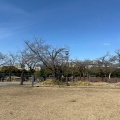 実際訪問したユーザーが直接撮影して投稿した公園宝野公園の写真