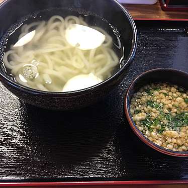 実際訪問したユーザーが直接撮影して投稿した青島うどん釜揚うどん岩見の写真