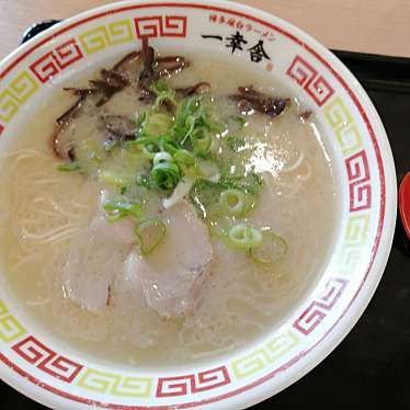 実際訪問したユーザーが直接撮影して投稿した豊崎ラーメン専門店博多屋台ラーメン 一幸舎 イーアス沖縄豊崎店の写真