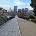 実際訪問したユーザーが直接撮影して投稿した大阪城地域名所雁木坂の写真