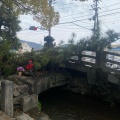 実際訪問したユーザーが直接撮影して投稿した石手橋渡らずの橋の写真