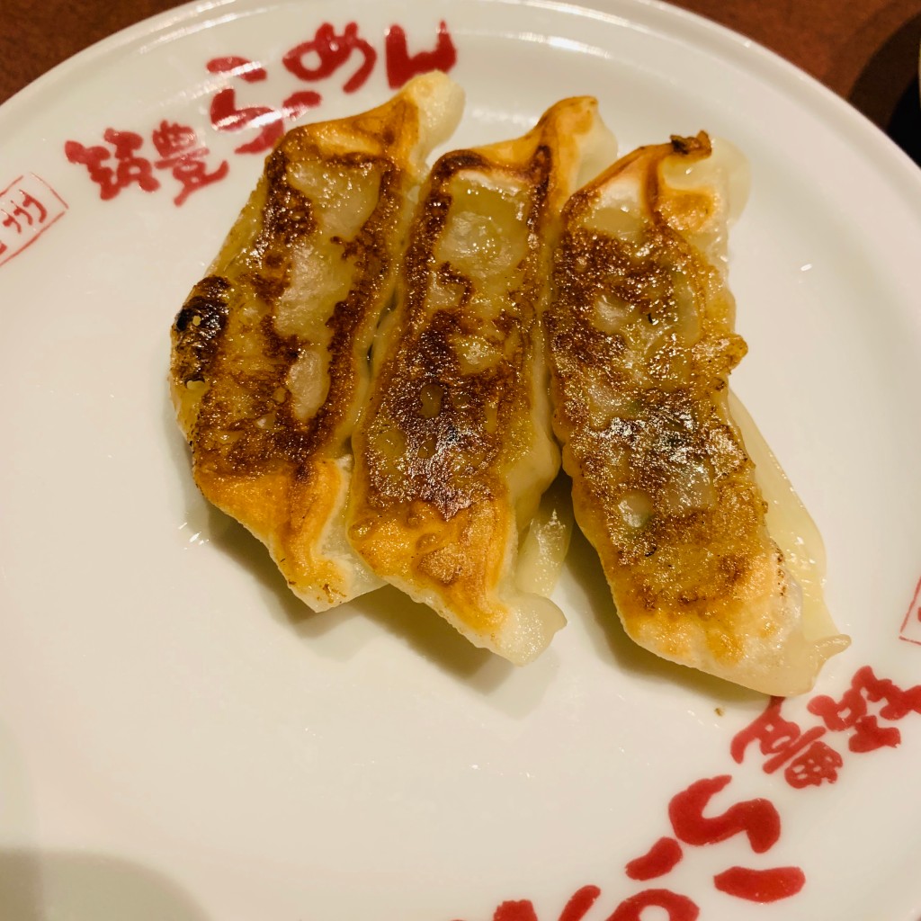 ユーザーが投稿した餃子セットの写真 - 実際訪問したユーザーが直接撮影して投稿した蒲生ラーメン専門店山小屋 蒲生店の写真