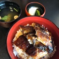 うな丼 - 実際訪問したユーザーが直接撮影して投稿した飯田うなぎ紀文の写真のメニュー情報