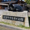 実際訪問したユーザーが直接撮影して投稿した井田道の駅道の駅 紀宝町ウミガメ公園の写真