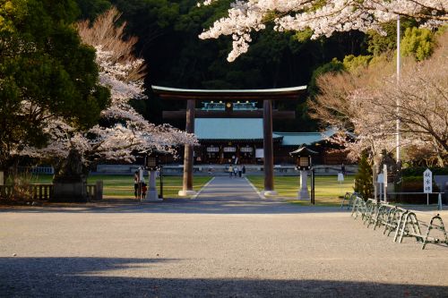 実際訪問したユーザーが直接撮影して投稿した柚木神社靜岡縣護國神社の写真