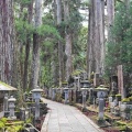 実際訪問したユーザーが直接撮影して投稿した高野山寺金剛峯寺 奥之院の写真