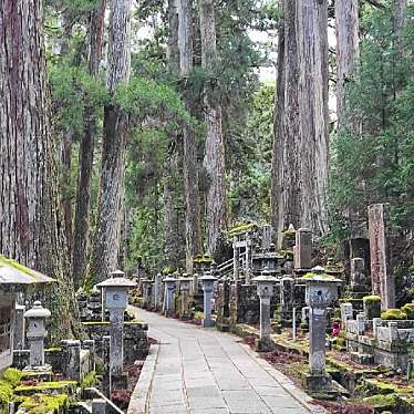 実際訪問したユーザーが直接撮影して投稿した高野山寺金剛峯寺 奥之院の写真