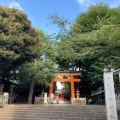 実際訪問したユーザーが直接撮影して投稿した旗の台神社旗岡八幡神社の写真