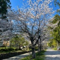 実際訪問したユーザーが直接撮影して投稿した一宮しなね神社土佐神社の写真